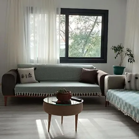 House Of Holiday 2